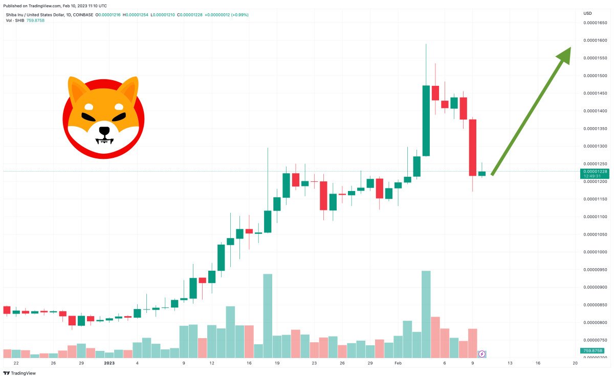 Is it Too Late to Buy Shiba Inu? Crypto Experts Give Their SHIB Price Predictions