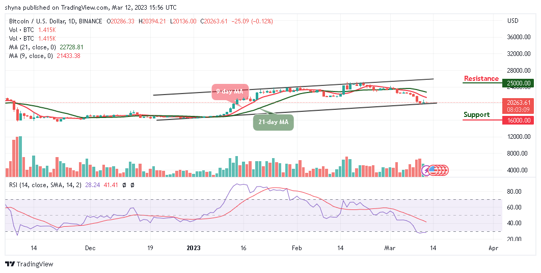 Bitcoin Price Prediction for Today, March 12: BTC/USD Fails to Breach $21,000