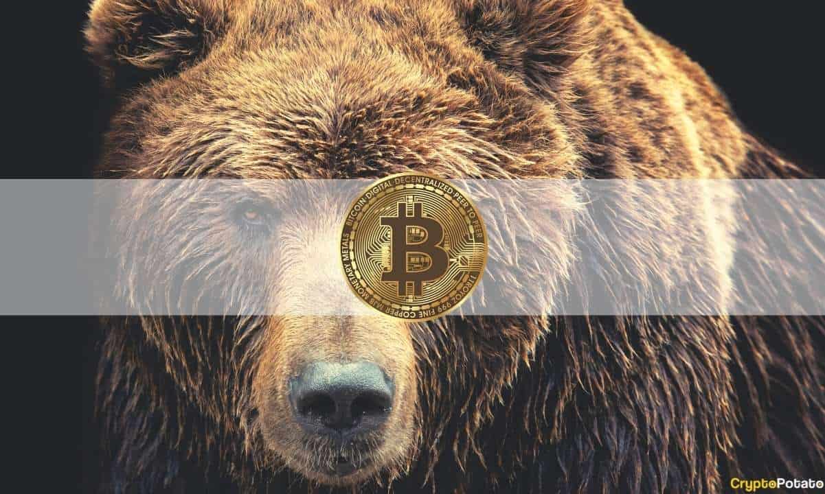 The Bitcoin Bear Market May Have Already Started, Signal Shows