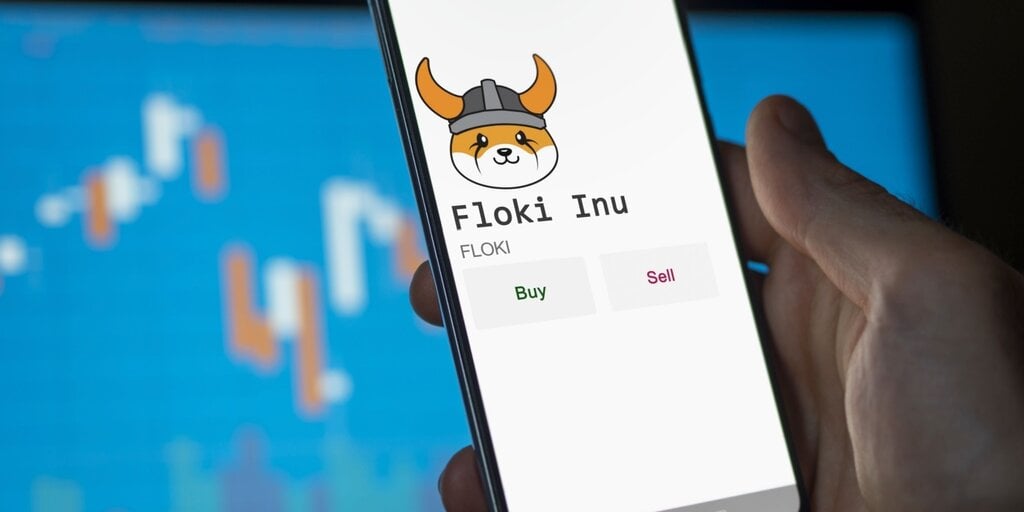 Floki Inu Leads the Pack as Meme Coins Ride the Roaring Kitty Rally